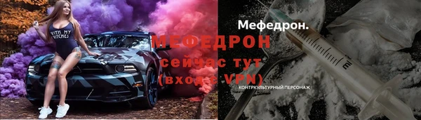 ECSTASY Богданович
