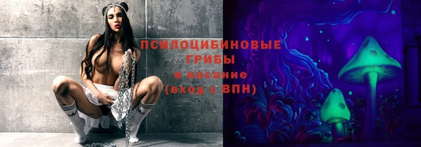 ECSTASY Богданович