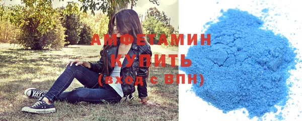 ECSTASY Богданович
