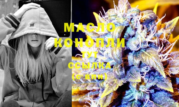 ECSTASY Богданович
