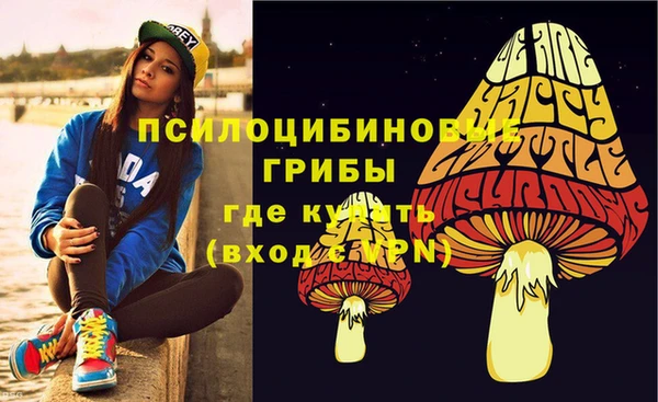 ECSTASY Богданович