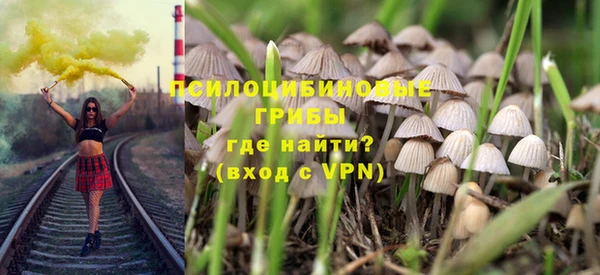 марки lsd Богородицк