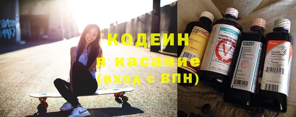 ECSTASY Богданович