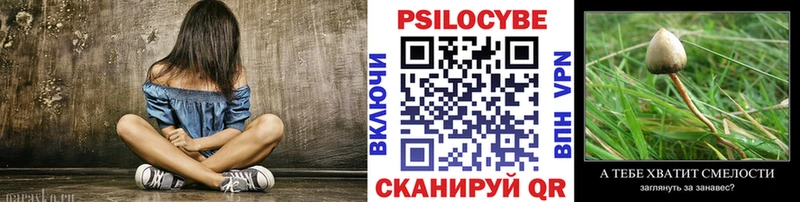 Галлюциногенные грибы Magic Shrooms  Томмот 